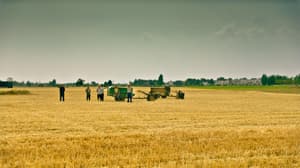 一直游到海水變藍電影劇照7