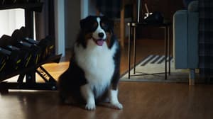 如果主子會説話電影劇照38