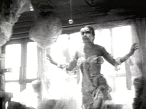 草間彌生60年代的紐約圈子 (M+ Cinema Programmes)電影劇照4