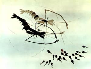 中國內地：經典重溫 (M+ Cinema Programmes)電影劇照4