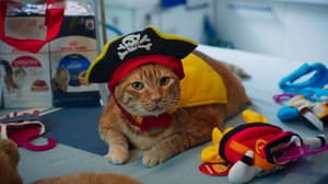 如果主子會説話電影劇照63