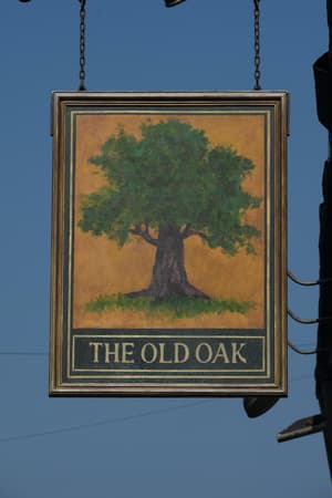 讓我們酒在一起(RFF2024)電影劇照8