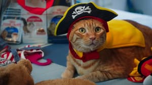 如果主子會説話電影劇照69