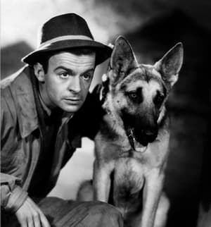 綫人(FCP 2020)電影劇照3