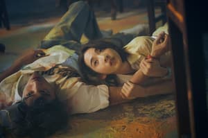 夏日的檸檬草電影劇照16