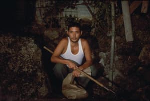 樂園幻景 (M+ Cinema Programmes)電影劇照3