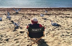 艾麗絲說華妲電影劇照5