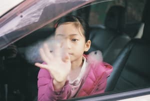 暖男花店電影劇照14