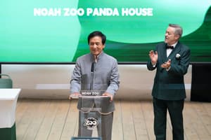 熊貓計劃電影劇照17