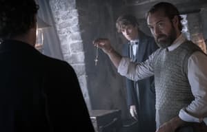 怪獸與鄧不利多的祕密電影劇照2