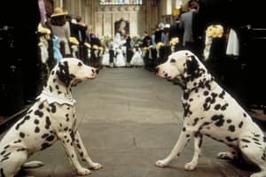 101斑點狗 (M+ Cinema Programmes)電影劇照2