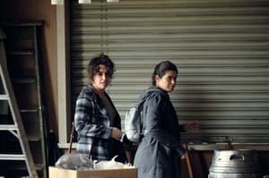 讓我們酒在一起(RFF2024)電影劇照18