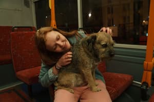 一個人的朝聖電影劇照106