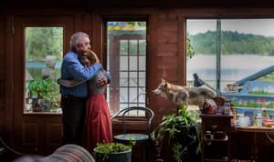 小獅與灰狼的夢想日記電影劇照2