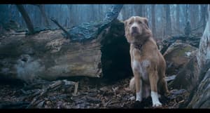 夜汪汪 心慌慌電影劇照2