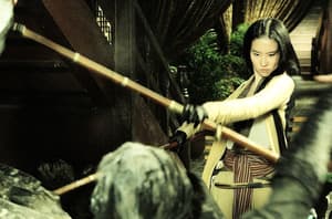 四大名捕電影劇照4