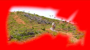 萬象的訊號 (M+ Programme)電影劇照4