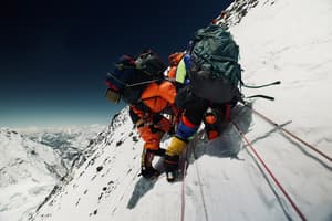 看不見的頂峰電影劇照10