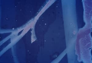 領悟的潮水（M+ programme）電影劇照3