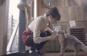 貓之Café電影劇照2