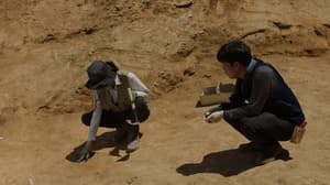 愛情考古學電影劇照5