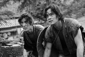 小菊的世界  (M+ Cinema Programmes)電影劇照5