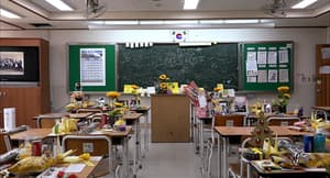 世越號母親達人Show電影劇照7