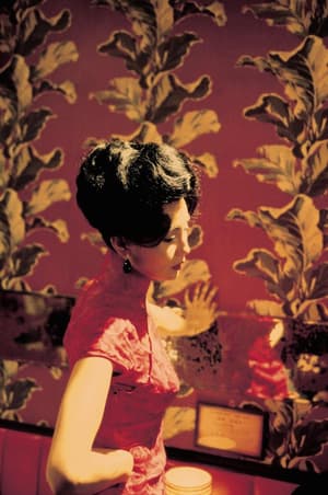 花樣年華 (M+ Cinema Programmes)電影劇照2