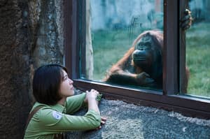  BIG 816電影劇照20