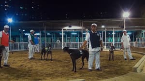 告訴世界我來過電影劇照4