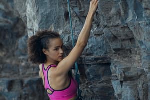 鐵人狗狗電影劇照3