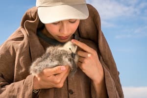 孤雁和你飛電影劇照4