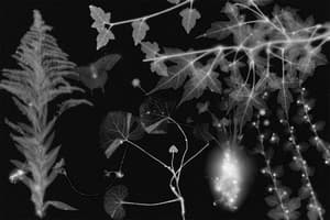 朴贊慶：遲來的菩薩 (M+ Programme)電影劇照4