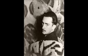 達利：不朽之旅電影劇照2