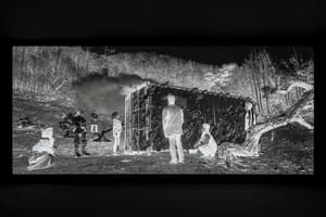 朴贊慶：遲來的菩薩 (M+ Programme)電影劇照3