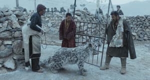 雪豹電影劇照26