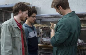 少年阿默電影劇照11