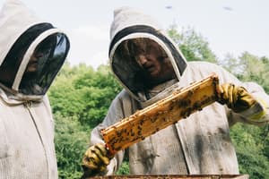 暴蜂尼亞電影劇照10