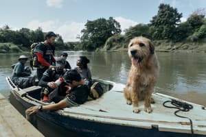 鐵人狗狗電影劇照4