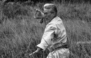 空手道電影劇照8