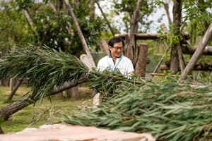 熊貓計劃電影劇照19