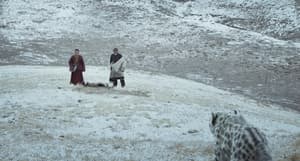 雪豹電影劇照24