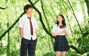 青夏：戀上你的30日電影劇照5