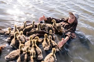 孤雁和你飛電影劇照5