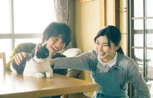 旅貓日記電影劇照10