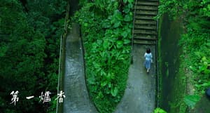 第一爐香電影劇照4