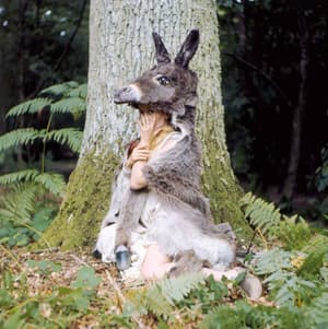 仙侶奇緣 (M+ Cinema Programmes)電影劇照2