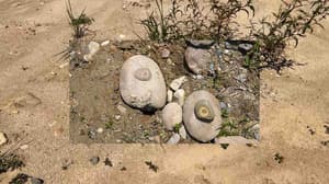 萬象的訊號 (M+ Programme)電影劇照3