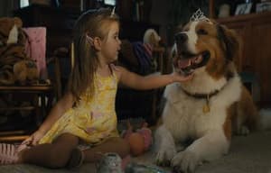 再見亦是狗朋友2電影劇照4