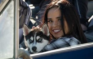 機動戰犬電影劇照10